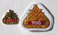 Picture of the pin and patch for 1,100 Events