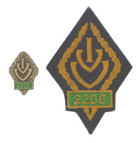 Picture of the pin and patch for 2200 Events