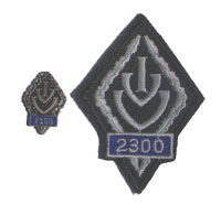 Picture of the pin and patch for 2300 Events