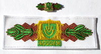 Picture of the pin and patch for 4500 Kilometers