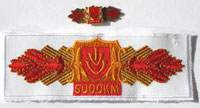 Picture of the pin and patch for 5000 Kilometers
