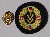 Picture of the pin and patch for 50 Events