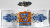 Picture of the pin and patch for 5500 Kilometers