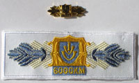 Picture of the pin and patch for 6000 Kilometers
