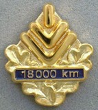 Picture of the pin for 18,000 Kilometers